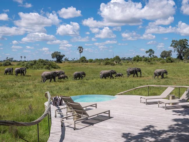 Mombo Camp, Botswana.