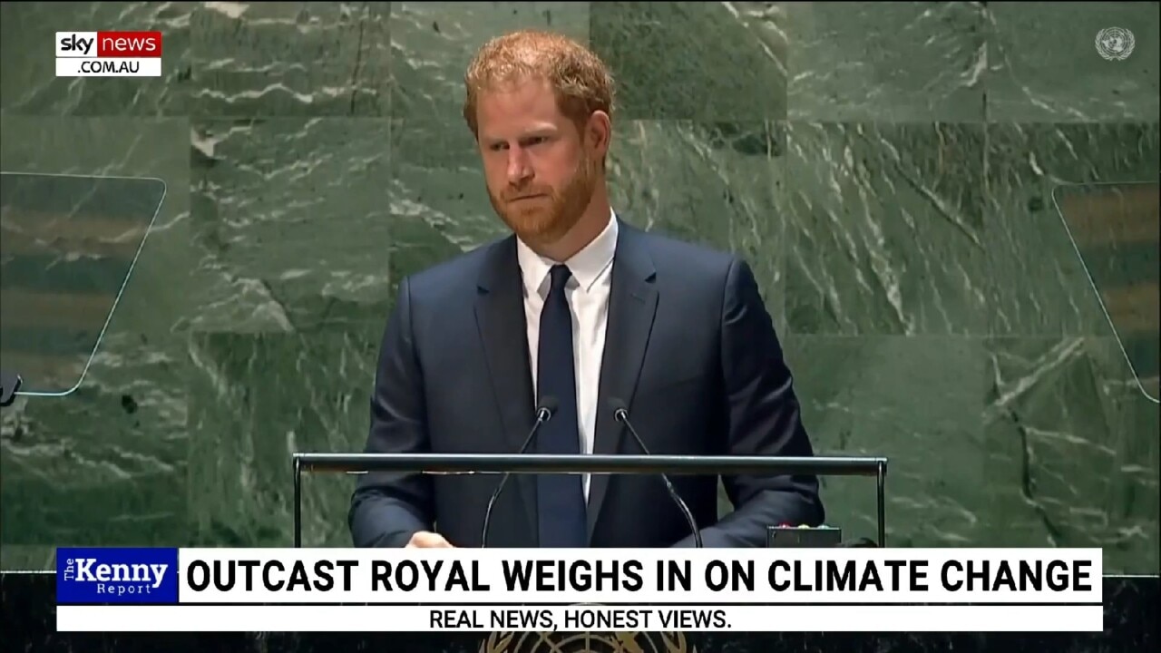 Prince Harry touched on 'every left-wing talking point possible' in UN speech