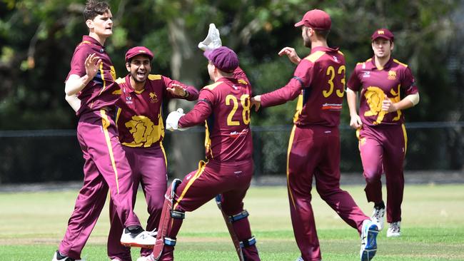 Premier: Kobe Smith and his Fitzroy Doncaster teammates celebrate a wicket. Picture: Steve Tanner