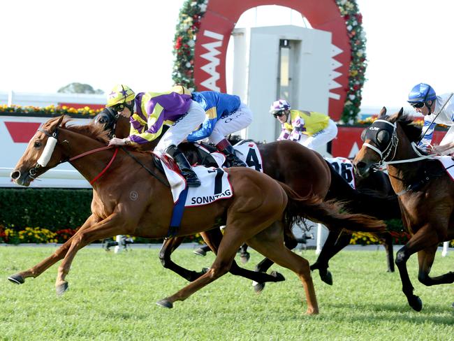 <h2>Turfed out</h2>Grab a piece of history at the final Saturday metropolitan race meeting at Eagle Farm Racecourse before the track closes for a makeover. Racegoers can walk on the track after the last race and the first 250 will receive a piece of the turf to plant in their own back yard. <b><a href=