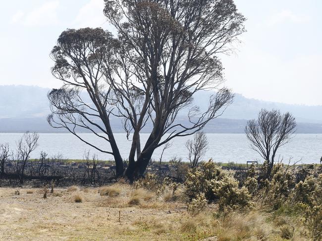 The charred lakeside landscape in the Central Highlands. Picture: MATT THOMPSON