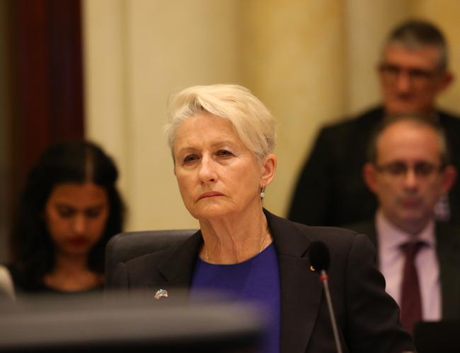 Kerryn Phelps pictured at Monday’s council meeting. Picture: Rohan Kelly