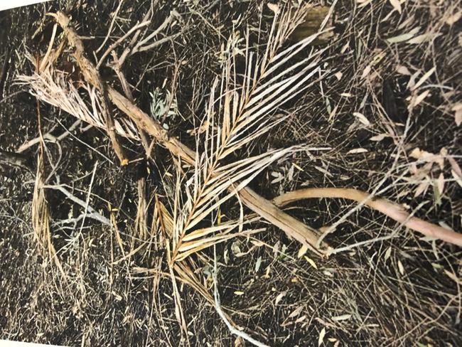 One of the photos tendered in court showing where Gregory Jerome Neal had tried to burn tissues and other rubbish left behind by people. Picture: supplied