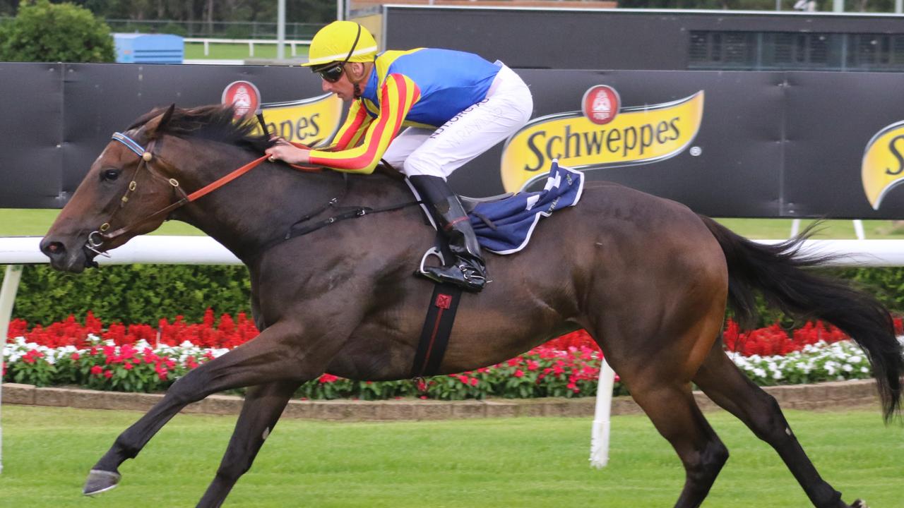 Canterbury preview: Bryce Heys has Gently Rolled set to atone for first ...