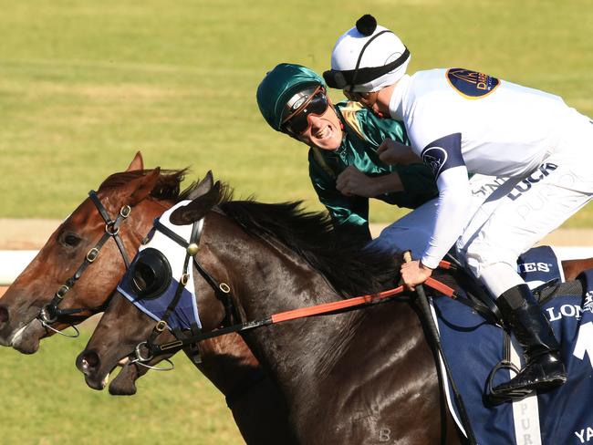 Winning jockey Blake Shinn is congratulated by Zac Purton on Yankee Rose. Picture: Jenny Evans