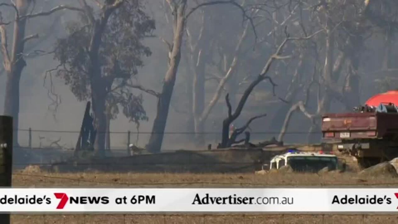 The Advertiser, 7NEWS Adelaide: Shots fired at Woodville Gardens, LIV Golf eve