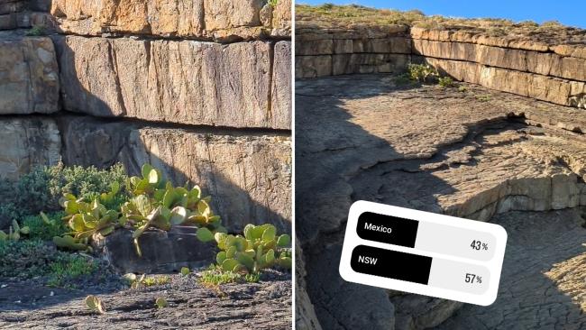 Serene, pristine and lacking in phone reception, Seal Rocks is a bit like an international holiday without the price tag.