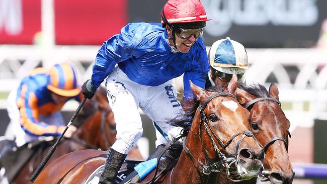 Cross Counter is aiming for back-to-back Melbourne Cups. Picture: Getty Images