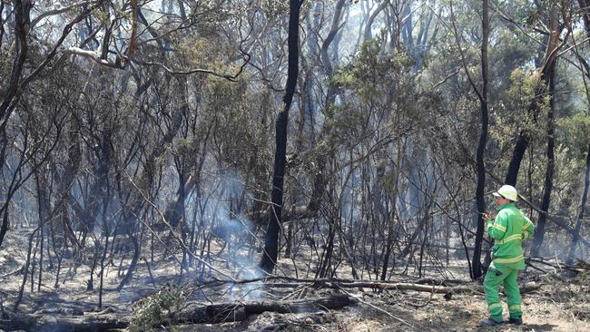 The Otway Ranges have been left as dry as they have been since the Millennium Drought. Picture: Mark Wilson