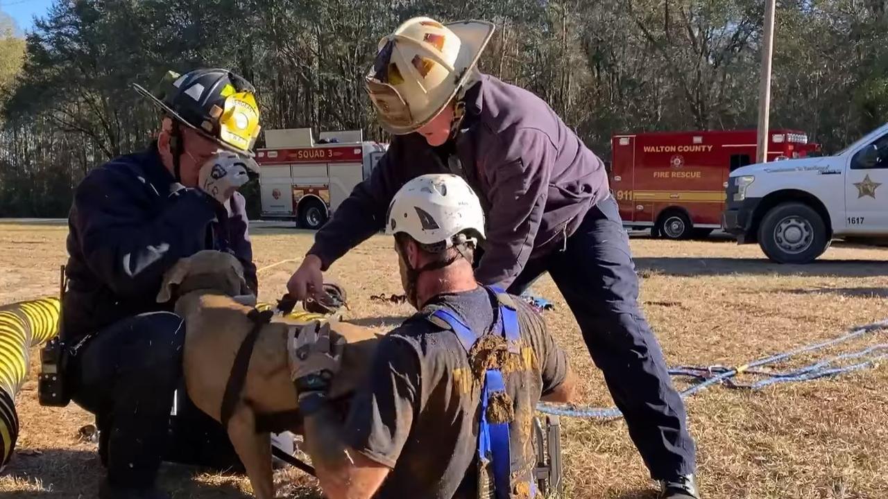 The rescuer used webbing to build the dog a safety harness. Picture: Facebook/South Walton Fire District