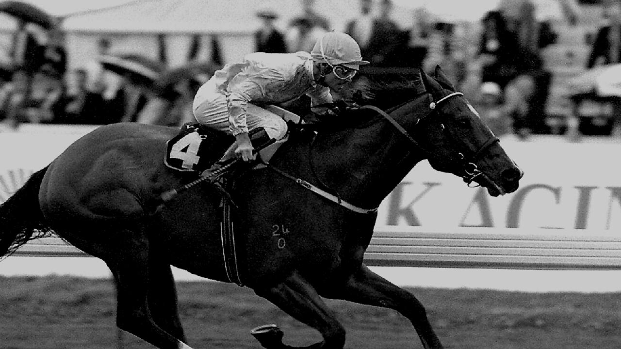 Hareeba gave Simon Marshall the fastest ride he ever had on a horse.