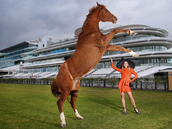 Victoria Racing Club Ambassador Georgia Connolly and Blowfly proudly show off the new world-class $128 million Club Stand at Flemington. Picture: Ian Currie