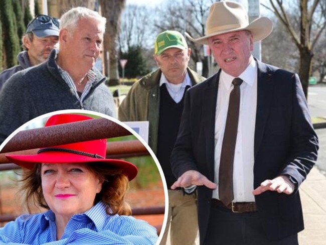 Barnaby Joyce has praised mining magnate Gina Rinehart while addressing the Bush Summit.