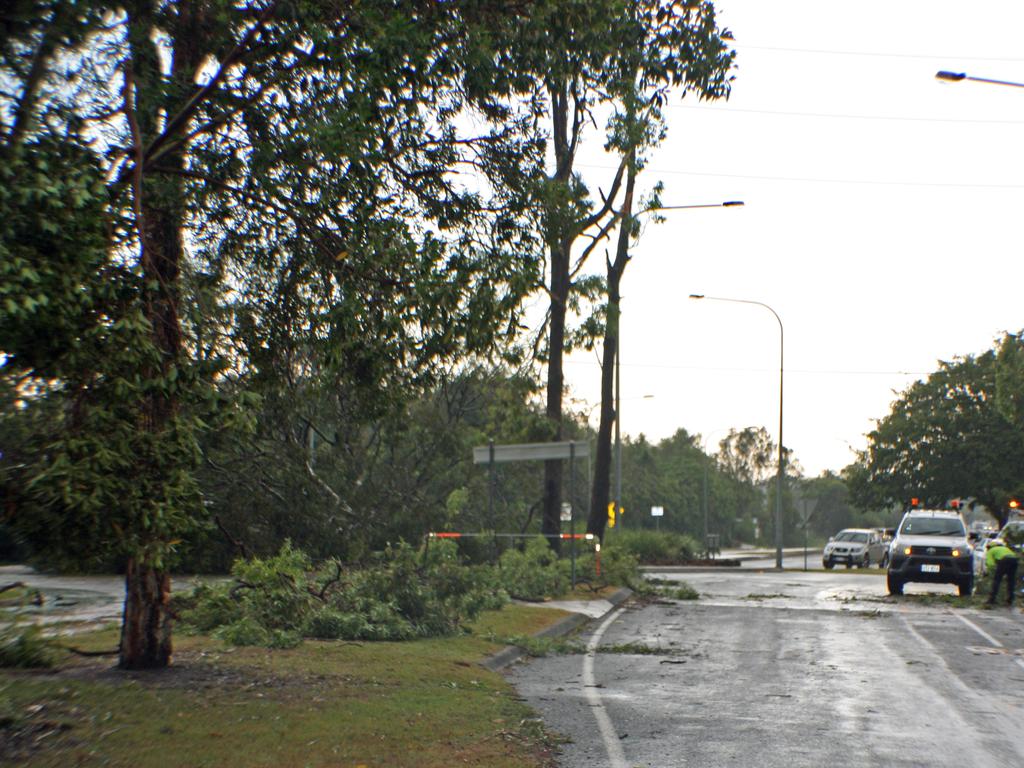 A decades-old tree on the roundabout at the intersection of Karawatha Drive and Golf Links Rd at Mountain Creek was a casualty in the storm that swept through the central Sunshine Coast.