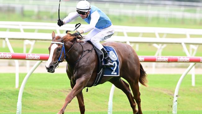 Mishani Lily will contest the Dalrello Stakes at Eagle Farm on Saturday. Picture: Grant Peters/Trackside Photography.