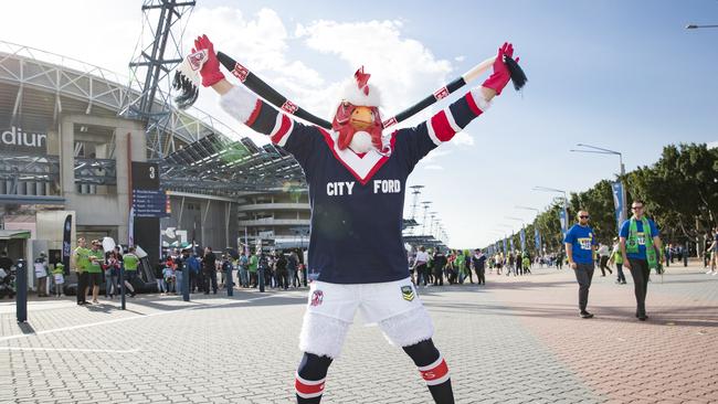 Roosters fan and chicken man Harry Zourodis. Picture: Dylan Robinson