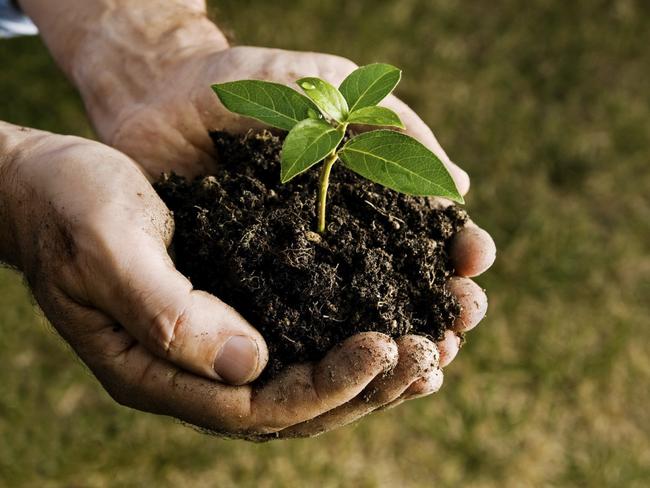 Biodiversity and soil management have received a boost in this year’s federal agriculture budget.