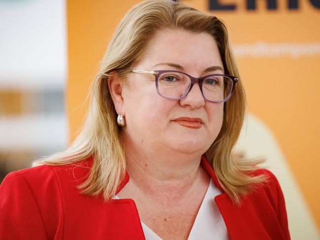 Minister for Treaty and First Nations People Natalie Hutchins addressed the panel on Thursday. Picture: Nadir Kinani