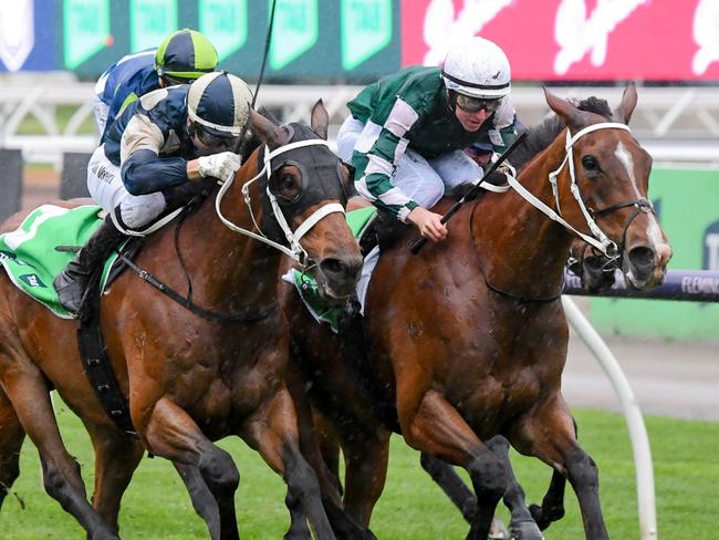 Via Sistina (IRE) ridden by Damian Lane wins the TAB Turnbull Stakes at Flemington Racecourse on October 05, 2024 in Flemington, Australia. (Photo by Pat Scala/Racing Photos via Getty Images)