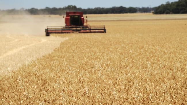 Ramping up: Most growers in the Wimmera have begun harvest with the south set to start this week, says agronomist Matthew Sparke