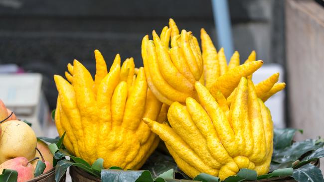 Buddha's hand fruit or Citrus medica. Picture: iStock