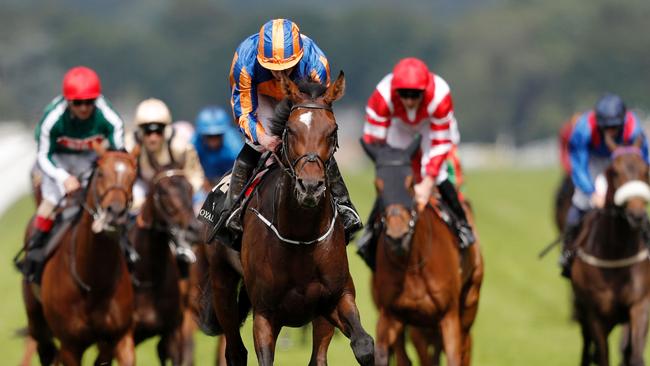 Order of St George is likely to skip the Melbourne Cup in favour of the Prix de l’Arc de Triomphe.