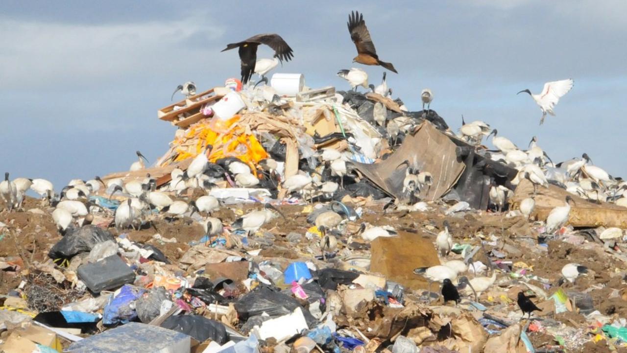 Gympie needs solution to 42-tonne rubbish problem
