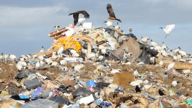 Gympie needs solution to 42-tonne rubbish problem