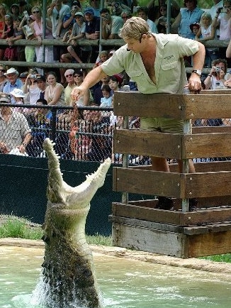 Steve Irwin feeds the crocs during one of the many shows at Australia Zoo.