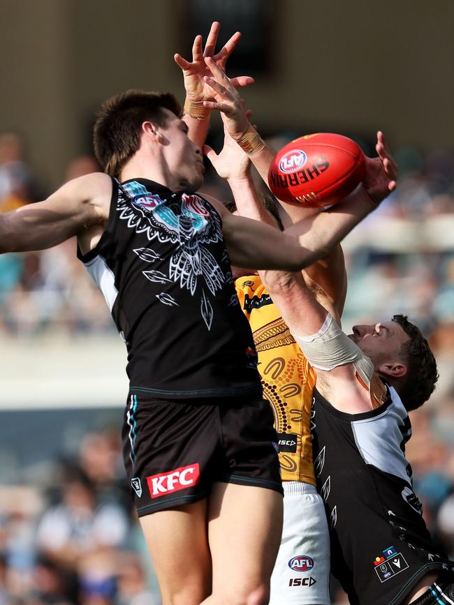 Dylan Williams takes a brilliant one-handed mark in the second-half of the win over Hawthorn. Picture: James Elsby/AFL Photos