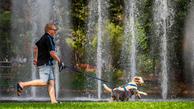 Darwin RSPCA chair Danny Moore and his pooches Molly and Buddy are looking forward to the Million Paws Walk. Picture: Che Chorley