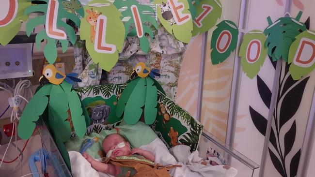 Ollie celebrated 100 days in hospital