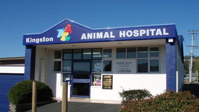 Kingston Animal Hospital.