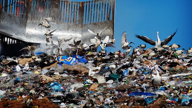 Greater Sydney and some regional areas in NSW are projected to run out of landfill capacity by 2030.