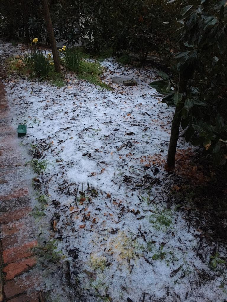 Hail in Stirling. Picture: Picture: Gavin Burgess