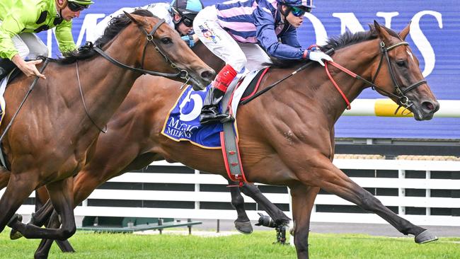 Regal Vow ridden by Craig Williams wins the Magic Millions Lord Stakes at Caulfield Heath Racecourse on December 26, 2024 in Caulfield, Australia. (Photo by Reg Ryan/Racing Photos via Getty Images)