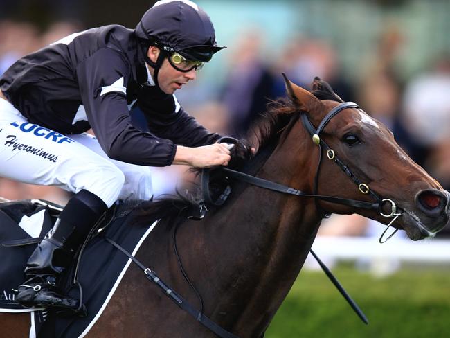 Ecuador and Adam Hyeronimus take out the feature race at Randwick on Saturday. Picture: Jenny Evans