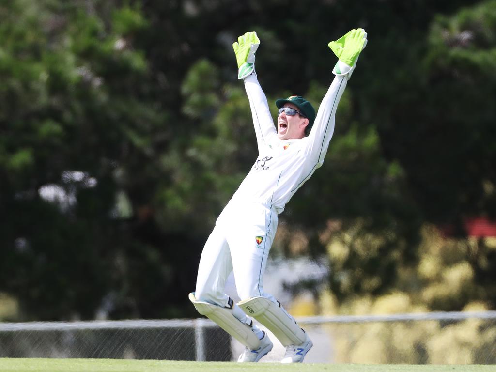 Tim Paine looked at ease behind the stumps as he took six catches and helped remove South Australia for just 165. Picture Nikki Davis-Jones