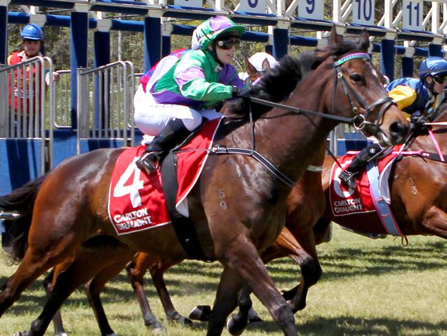 01/11/2016: (L-R) Female jockeys (L-R) Nyssa Burrells (blue), 29, and Ashleigh Borg (green) racing at today's Melbourne Cup celebrations held at Nowra Racecourse in NSW.   Hollie Adams/The Australian