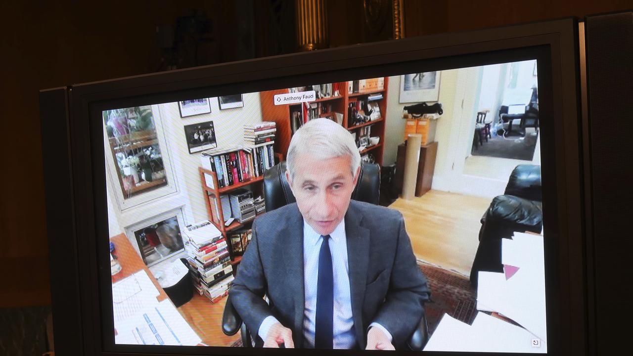 Dr Fauci appeared via video link. Picture: Win McNamee/AP