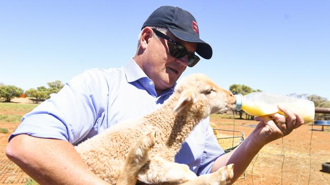 Scott Morrison feeds a lamb during a visit to the Tully family’s Bunginderry Station sheep and cattle farm outside Quilpie in southwest Queensland. Picture: AAP