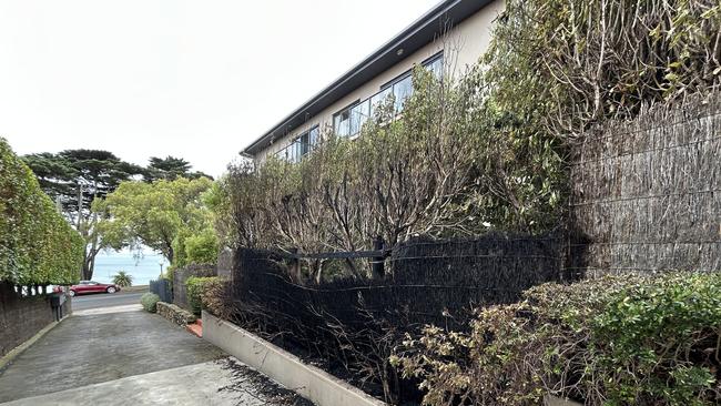 A deliberately lit fire damaged a thatch fence and hedge on Eastern Beach Rd. Picture: Brad Fleet.