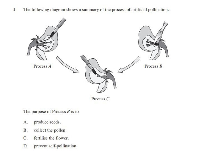 A question from the 2023 HSC Biology exam. Picture: NSW Education Standards Authority