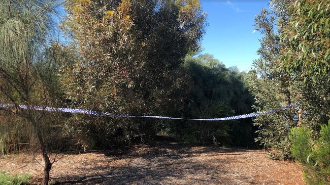 The crime scene at Munno Para where a man allegedly sexually assaulted a woman jogging in a wetlands area.