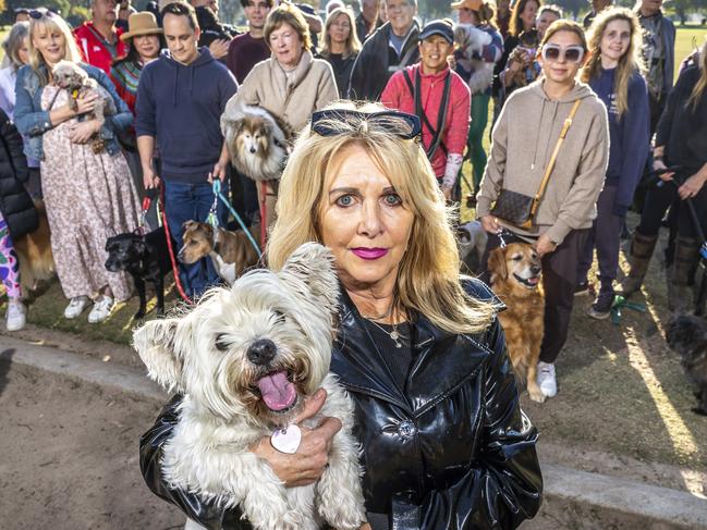 Residents in Stonnington Council claim they have been blindsided by a decision to force out a volunteer animal shelter -- which adheres to a strict 'no-kill' policy -- in favour of the Lost Dogs Home (known for a high kill rate). Jany Willow and her dog Billie is joined by other residents. Picture: Jake Nowakowski