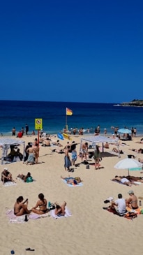 Coogee Beach covered in rubbish after long weekend