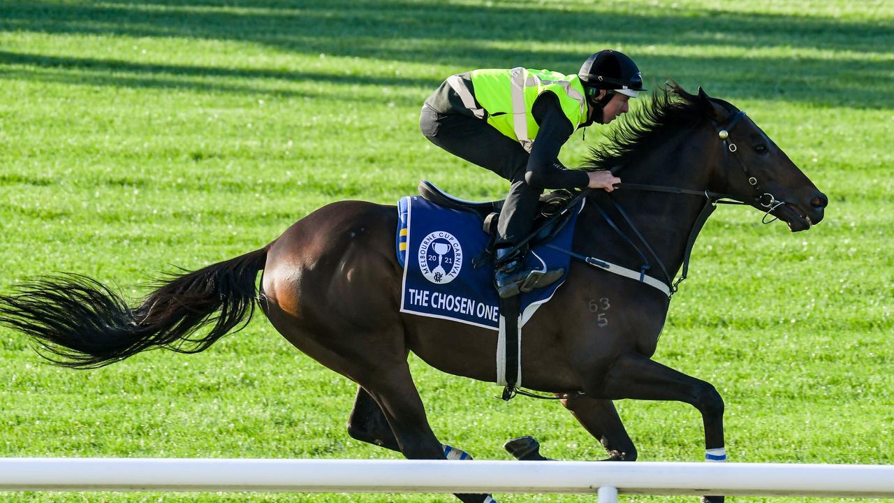 The Chosen One struggled in the Caulfield Cup. (Brett Holburt/Racing Photos via Getty Images)