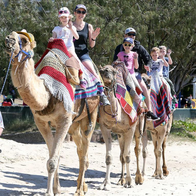 Sheree and Sophea Mason, 7, lead the pack, with Bianca Mason, 9, Paul Mason, Joey Toll, 6, and Tyler Toll, 8. Picture: Richard Gosling