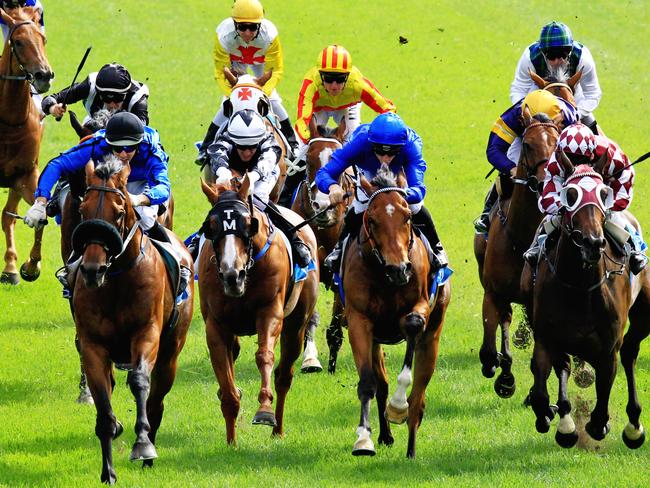 Happy Clapper, ridden by Brenton Avdulla (blue, black cap), is unproven at the Sydney Cup trip, but seven of the past eight winners of this race were stepping up in distance. Picture: Jenny Evans