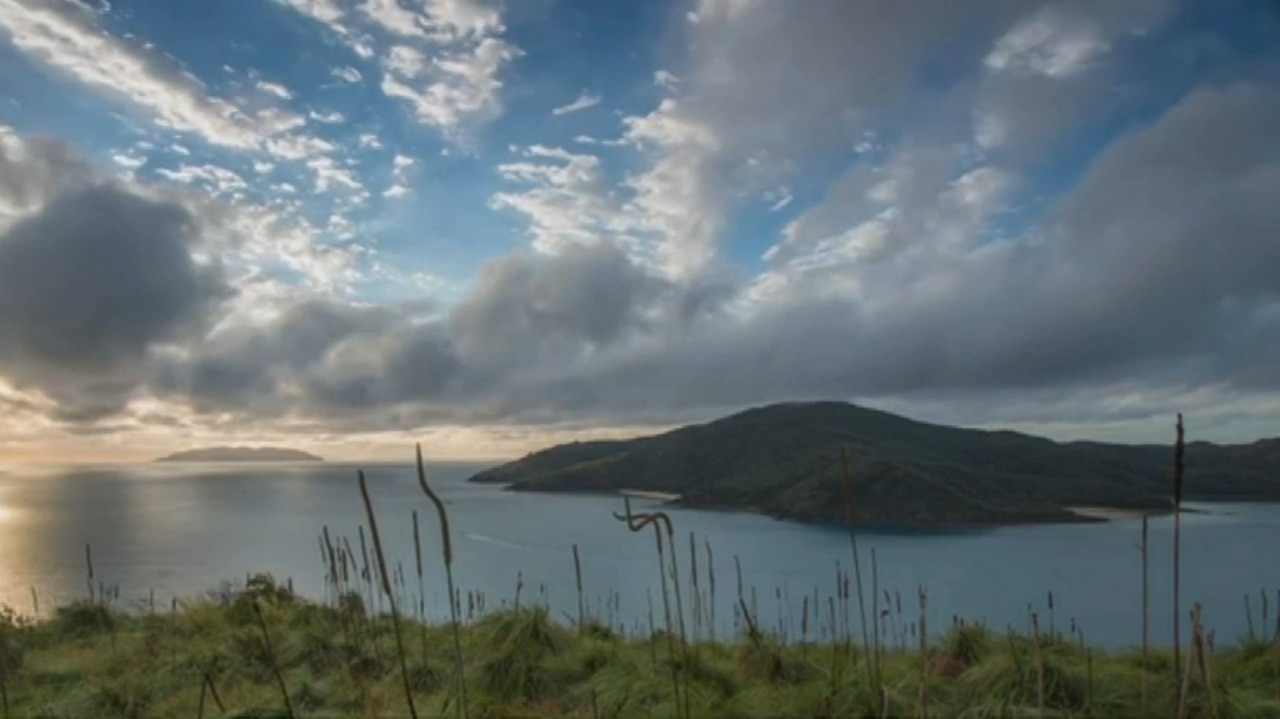 'Island dream turned nightmare': Chinese developer signs onto 99-year Queensland island lease